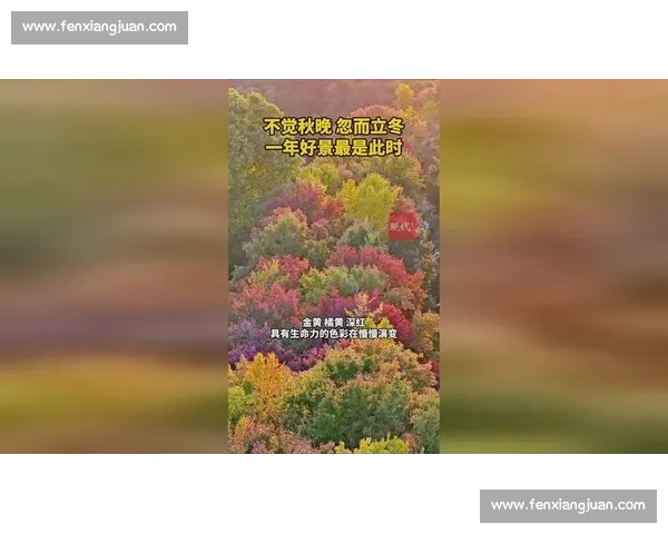 立冬时节万物藏养话节气感悟冬之始品味寒中暖意